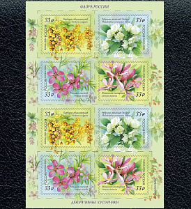 Россия, 2026, Кустарники, малый лист